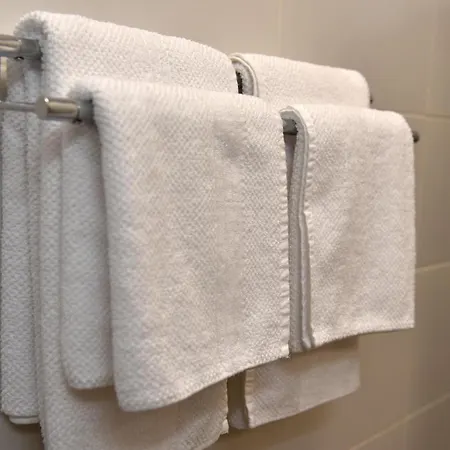 게스트하우스 Ozzy